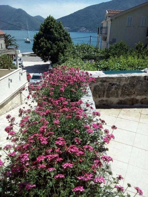 Apartmani Villa Radovic Risan Exteriér fotografie